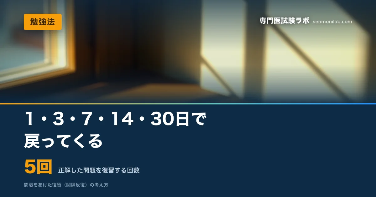 忘れかけていることに自覚は伴いません。間隔をあけて自動的に戻る仕組みの作り方と、具体的な日数の目安。