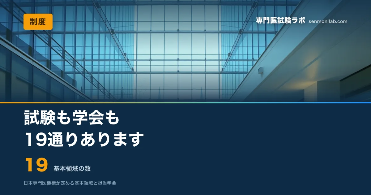 19領域と担当学会、過去問の公開状況を一覧に。領域が違えば対策も変わります。